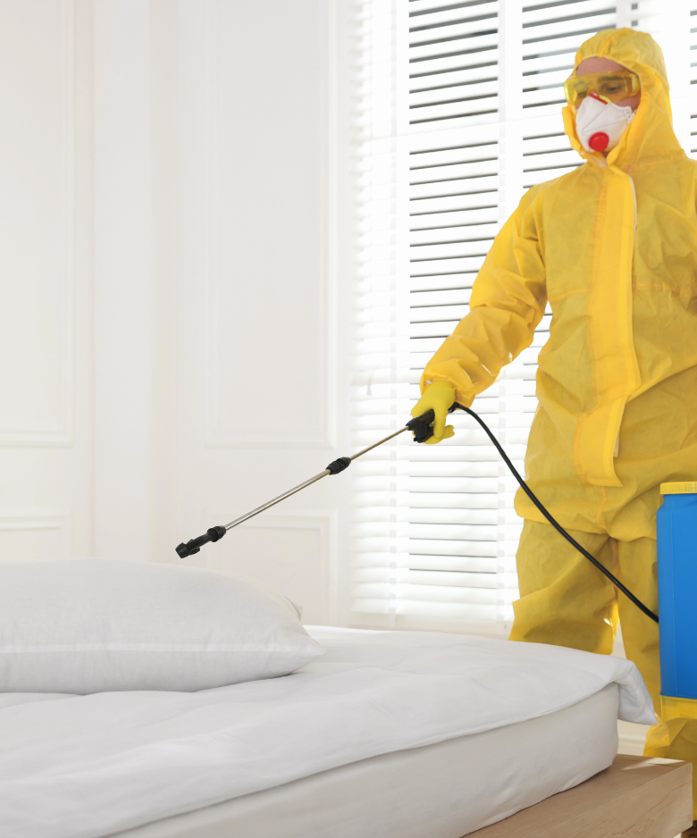 Professional Pest Control Team in Munno Para